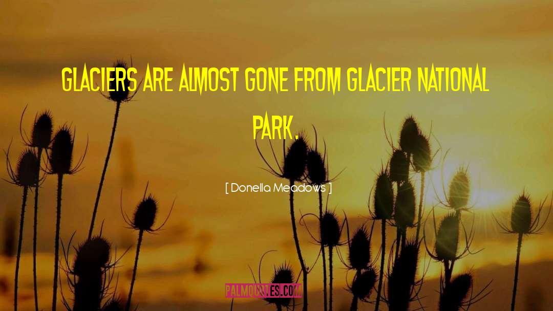 Glacier quotes by Donella Meadows