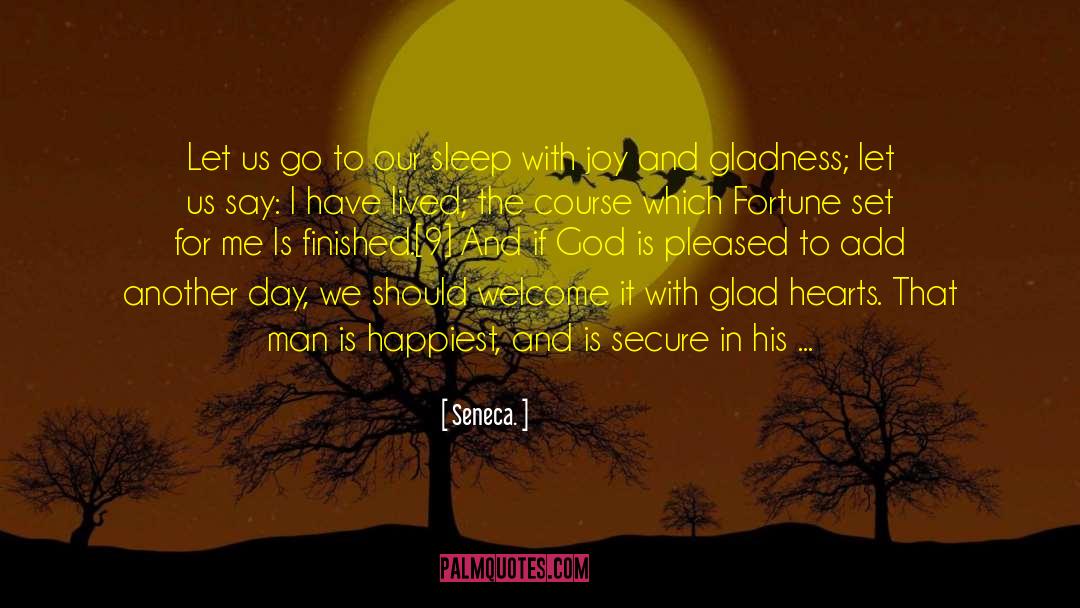 Gladness quotes by Seneca.