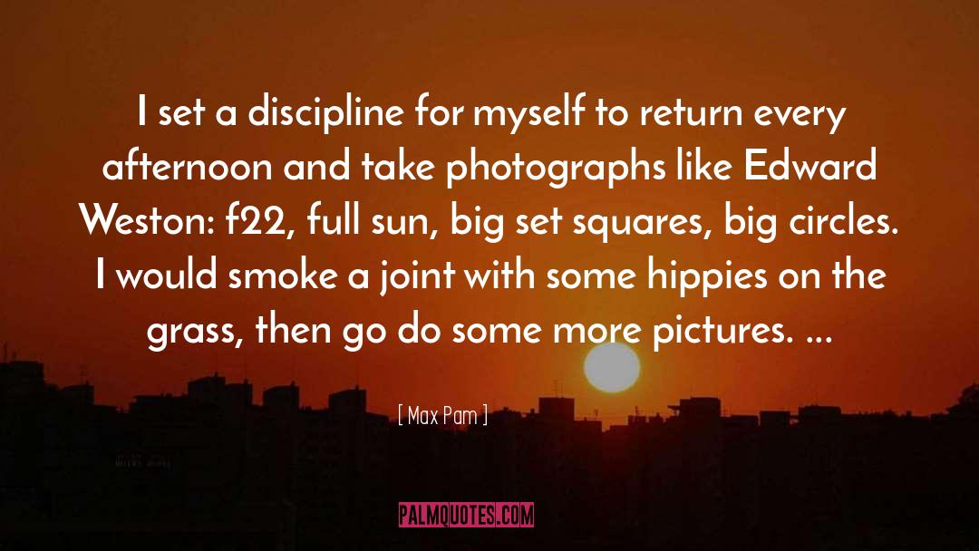Glamorized Hippies quotes by Max Pam