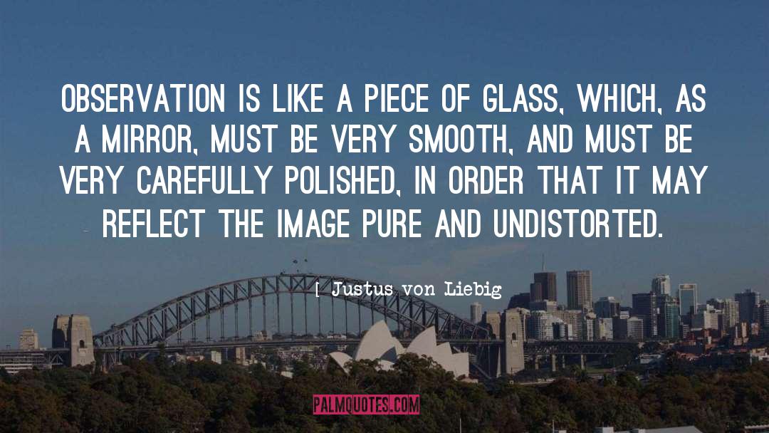 Glass Bead Game quotes by Justus Von Liebig