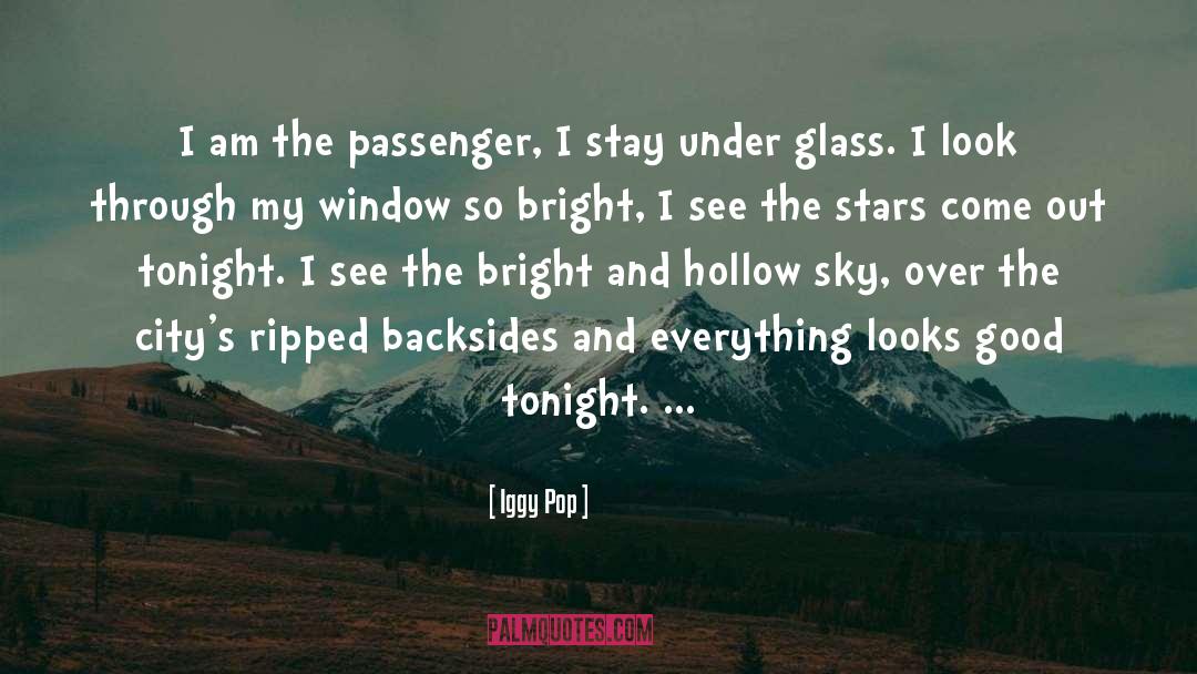 Glass Half quotes by Iggy Pop