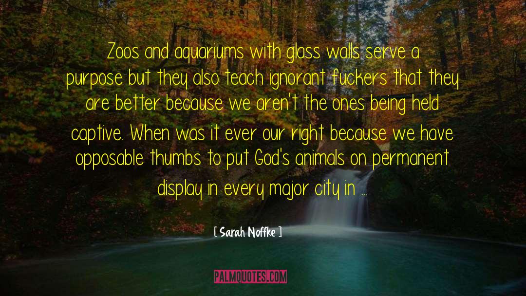 Glass Houses quotes by Sarah Noffke