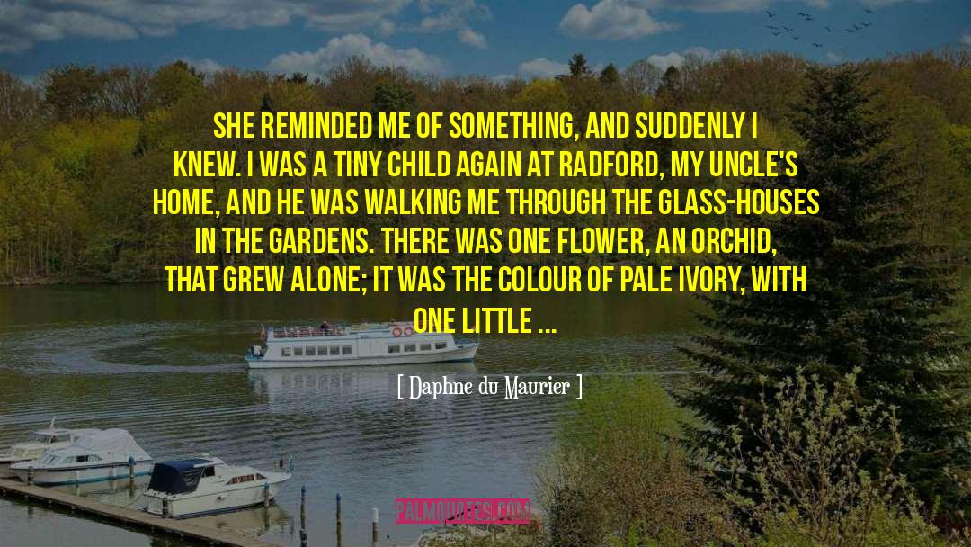 Glass Houses quotes by Daphne Du Maurier