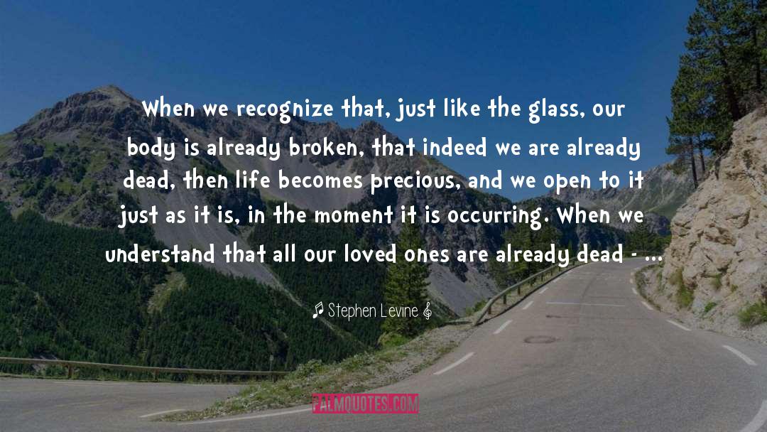 Glass More quotes by Stephen Levine
