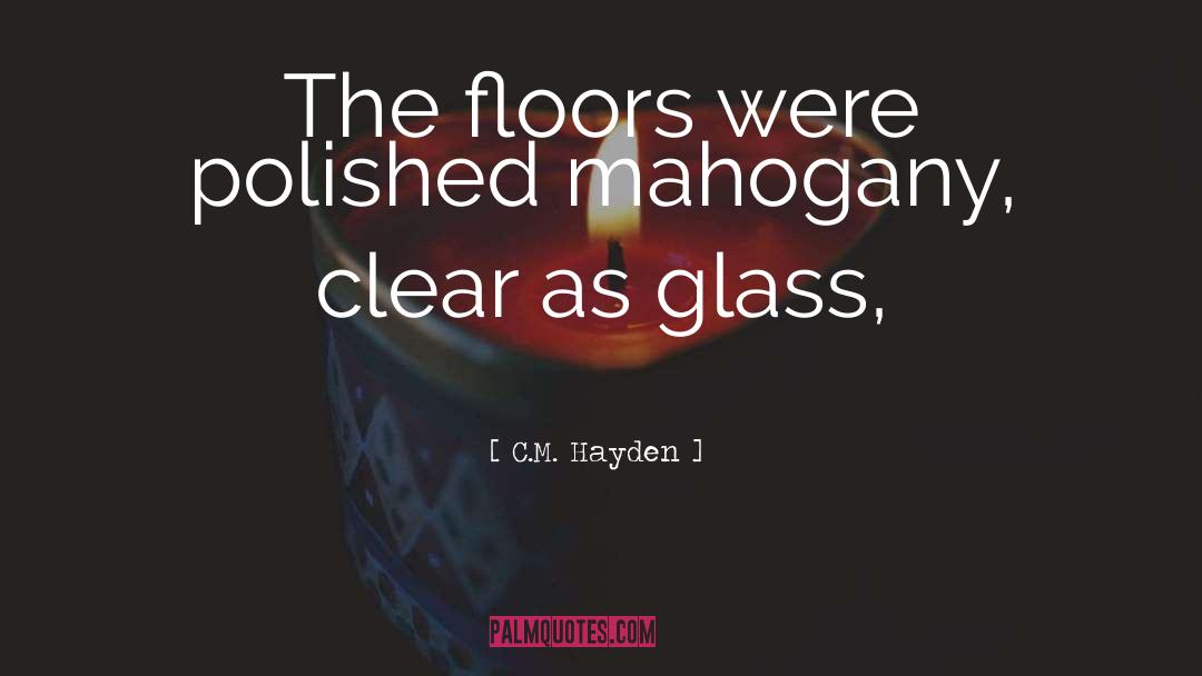 Glass Slipper quotes by C.M. Hayden