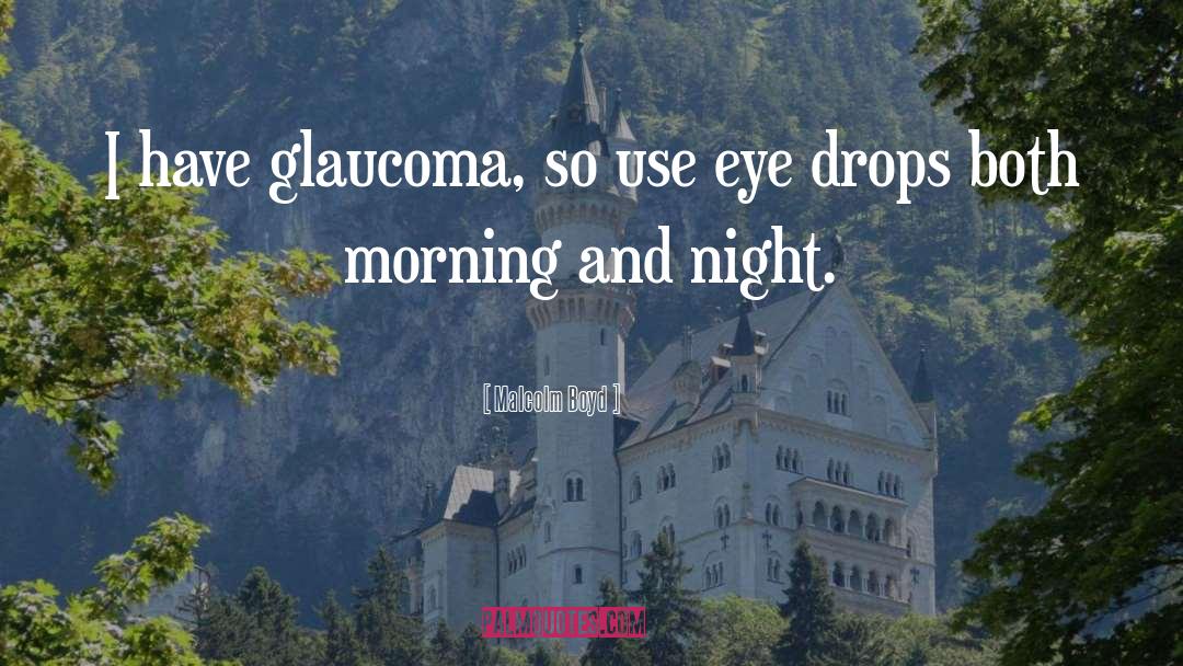 Glaucoma quotes by Malcolm Boyd
