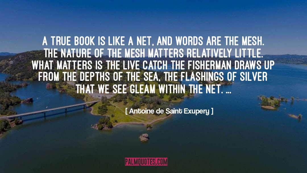 Gleam quotes by Antoine De Saint Exupery