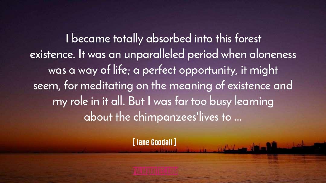 Gleamed Even More Bright quotes by Jane Goodall