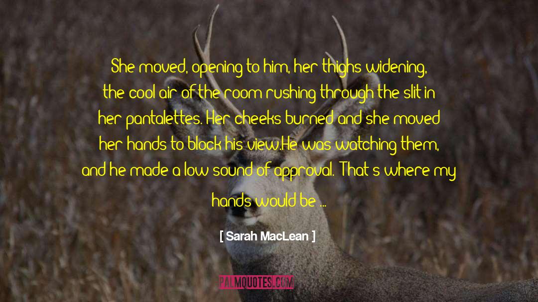 Glide Through The Air quotes by Sarah MacLean