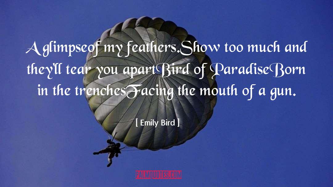 Glimpse quotes by Emily Bird