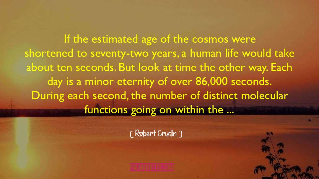 Glimpses Of Eternity quotes by Robert Grudin