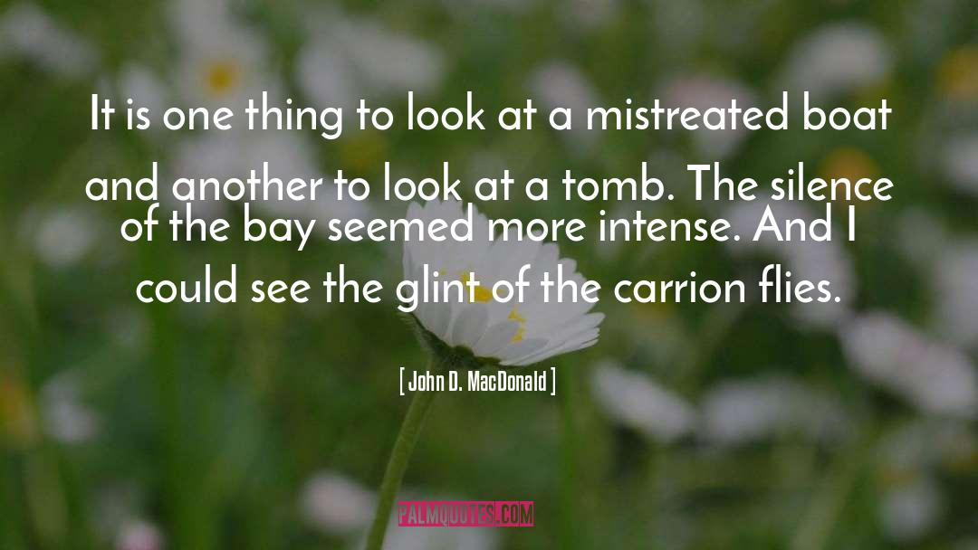 Glint quotes by John D. MacDonald