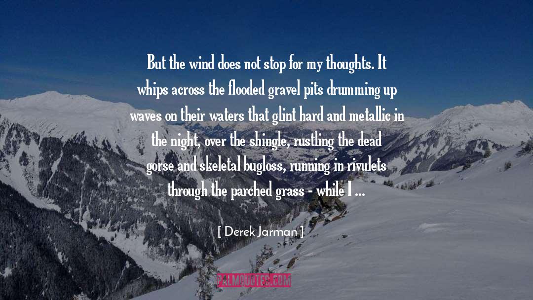 Glint quotes by Derek Jarman