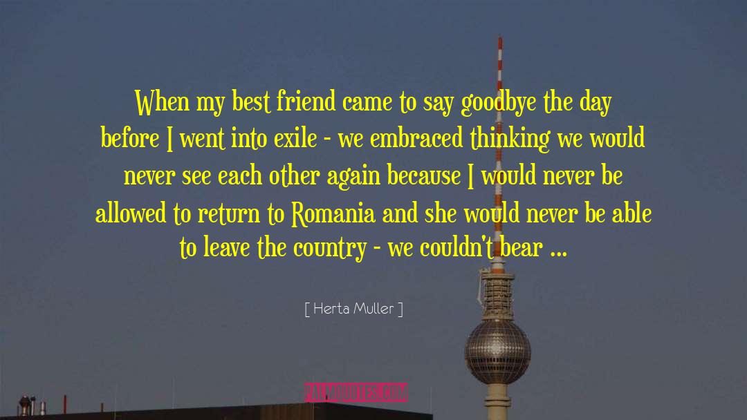 Glisten quotes by Herta Muller