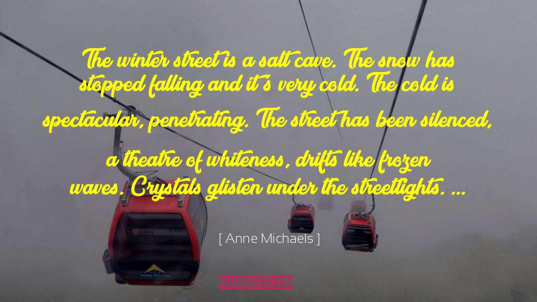 Glisten quotes by Anne Michaels