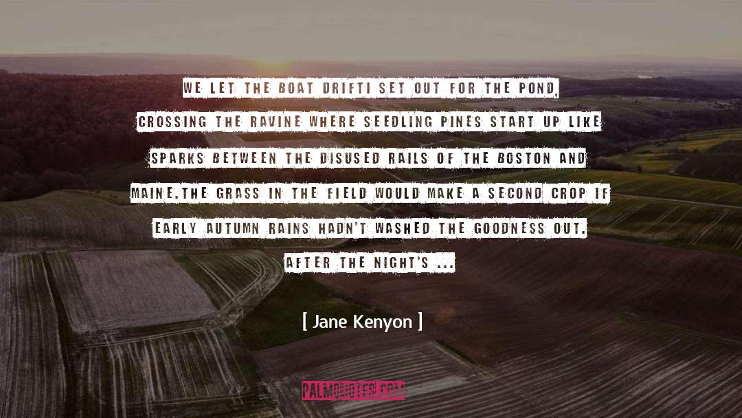 Glittering quotes by Jane Kenyon