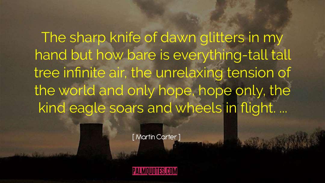 Glitters quotes by Martin Carter