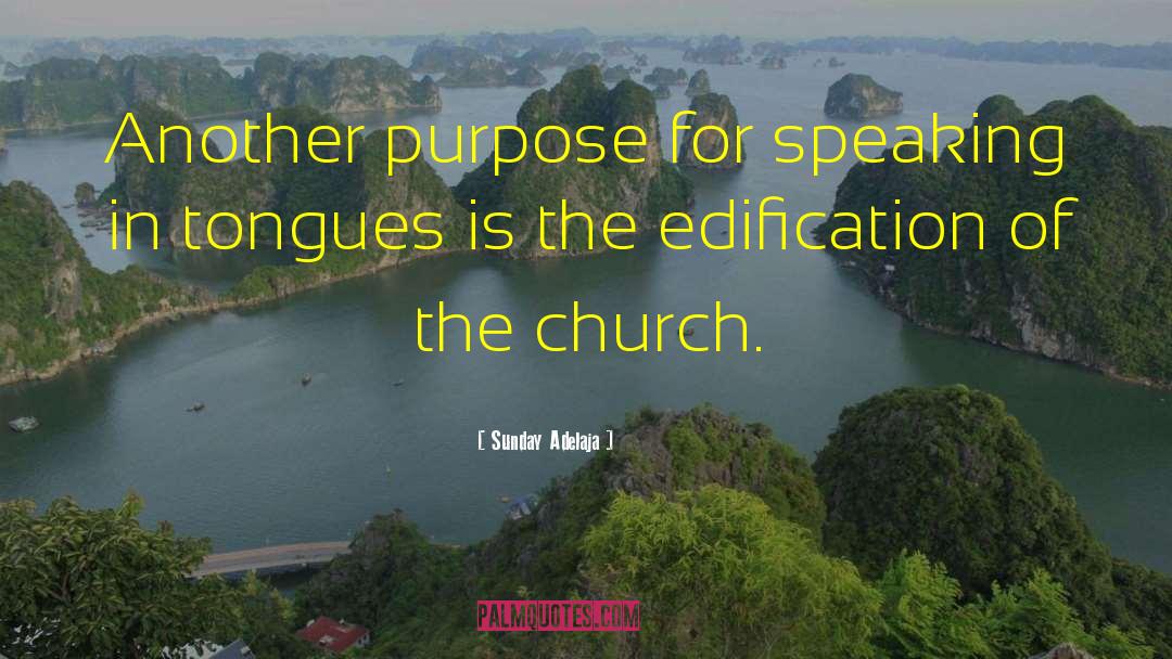 Global Church quotes by Sunday Adelaja