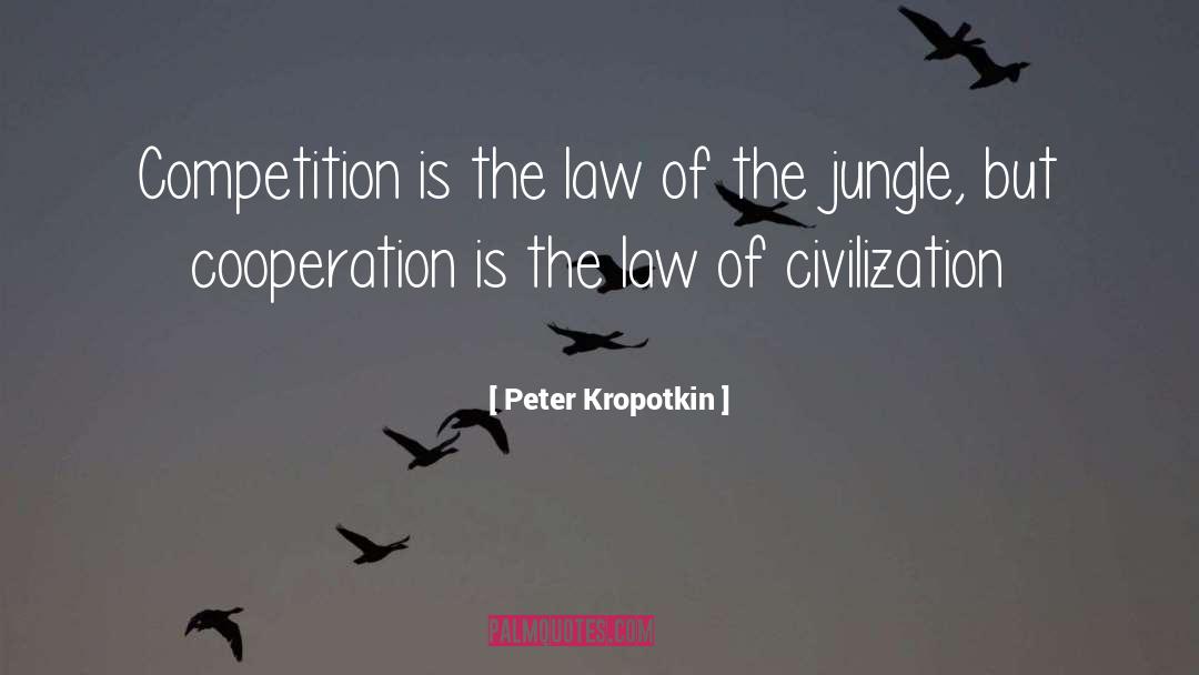 Global Cooperation quotes by Peter Kropotkin