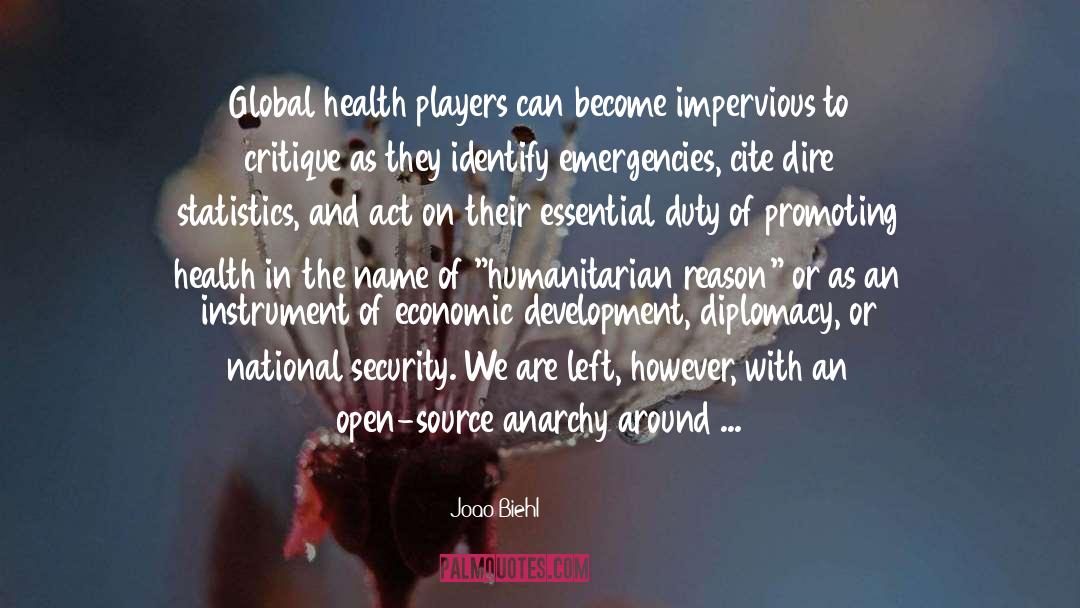 Global Health quotes by Joao Biehl