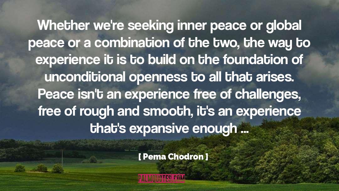 Global Peace quotes by Pema Chodron