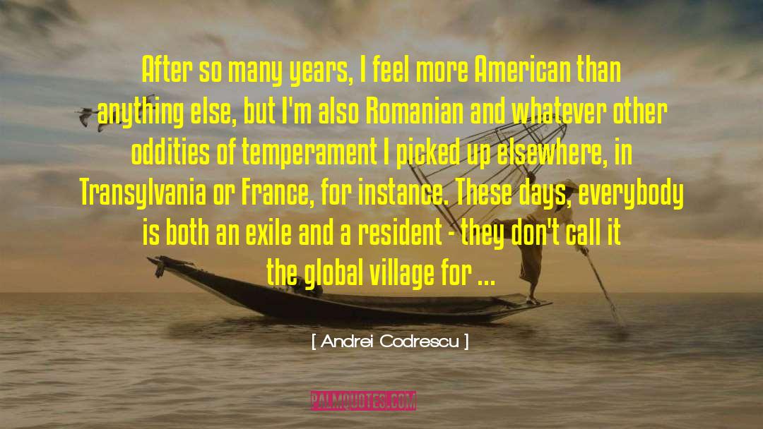 Global Village quotes by Andrei Codrescu