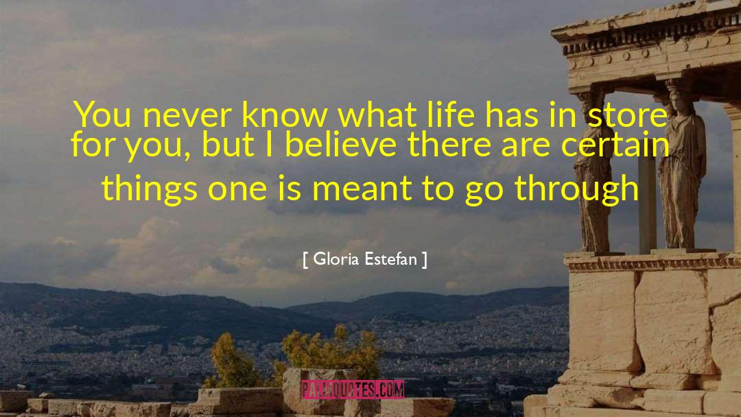 Gloria E Gherardi quotes by Gloria Estefan