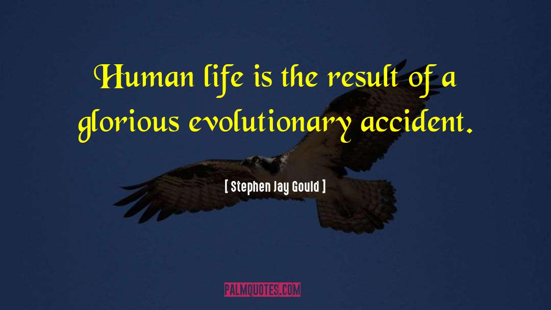 Glorious Beverage quotes by Stephen Jay Gould