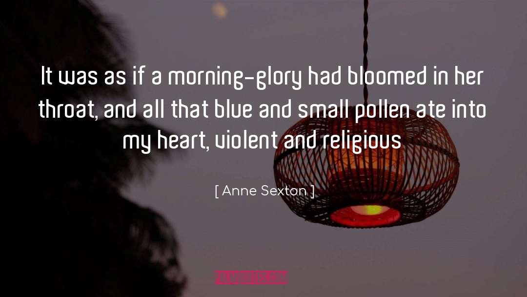 Glory quotes by Anne Sexton