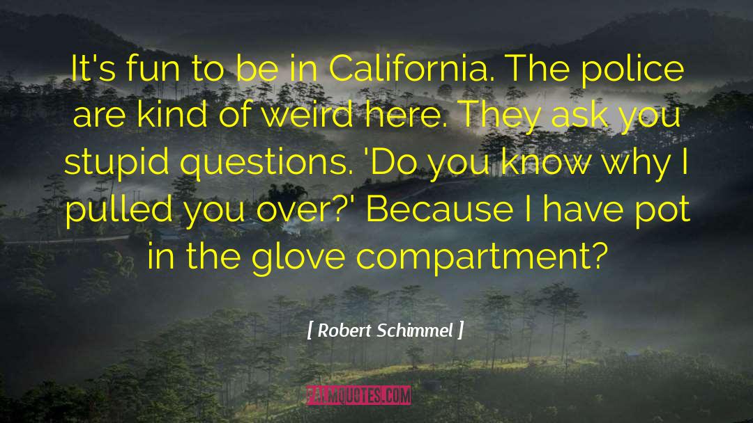 Glove quotes by Robert Schimmel