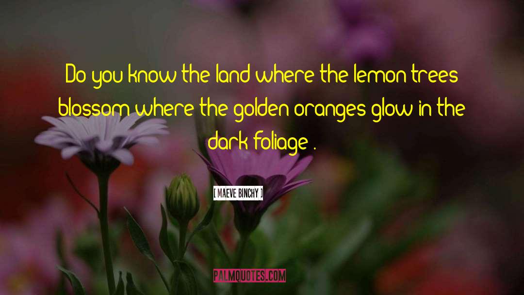 Glow In The Dark quotes by Maeve Binchy