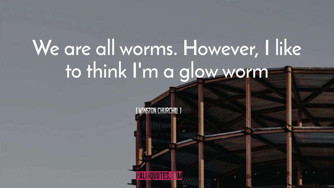 Glow Worms quotes by Winston Churchill