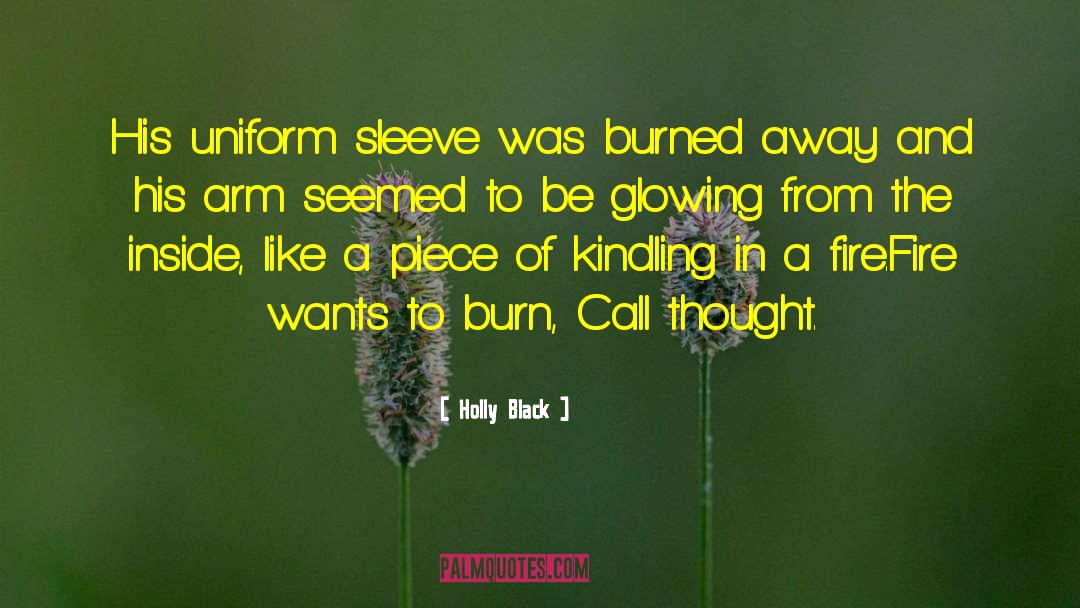 Glowing quotes by Holly Black