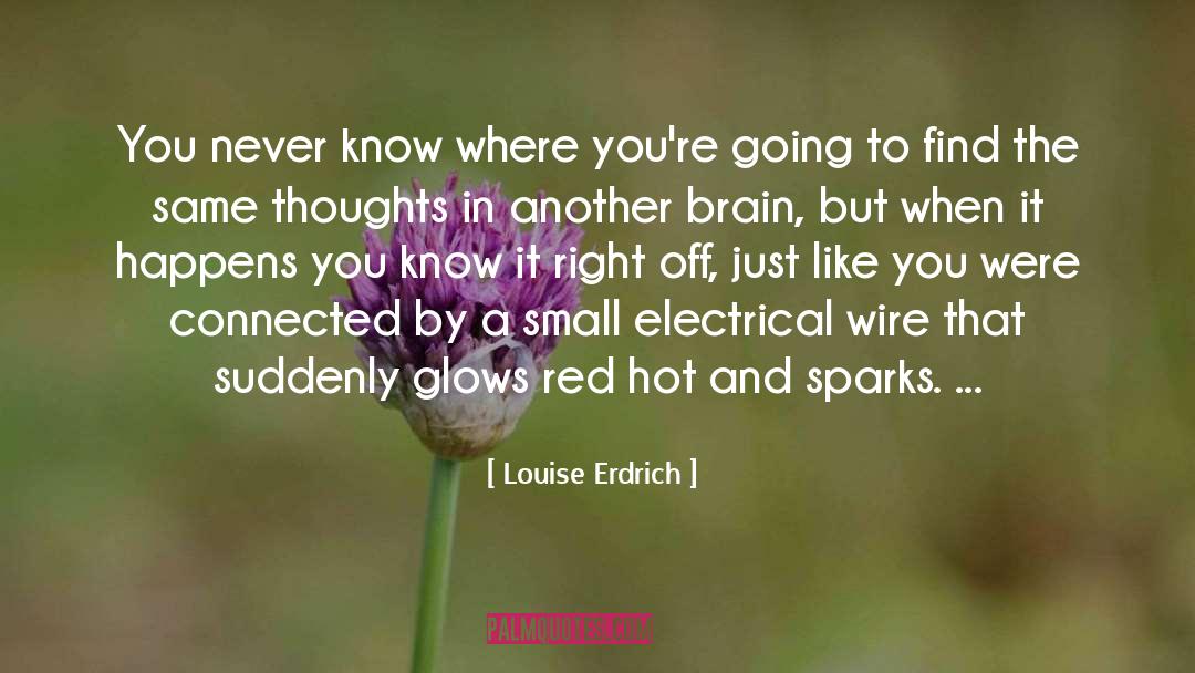 Glows quotes by Louise Erdrich