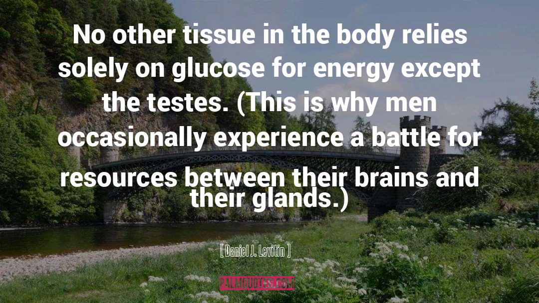 Glucose quotes by Daniel J. Levitin