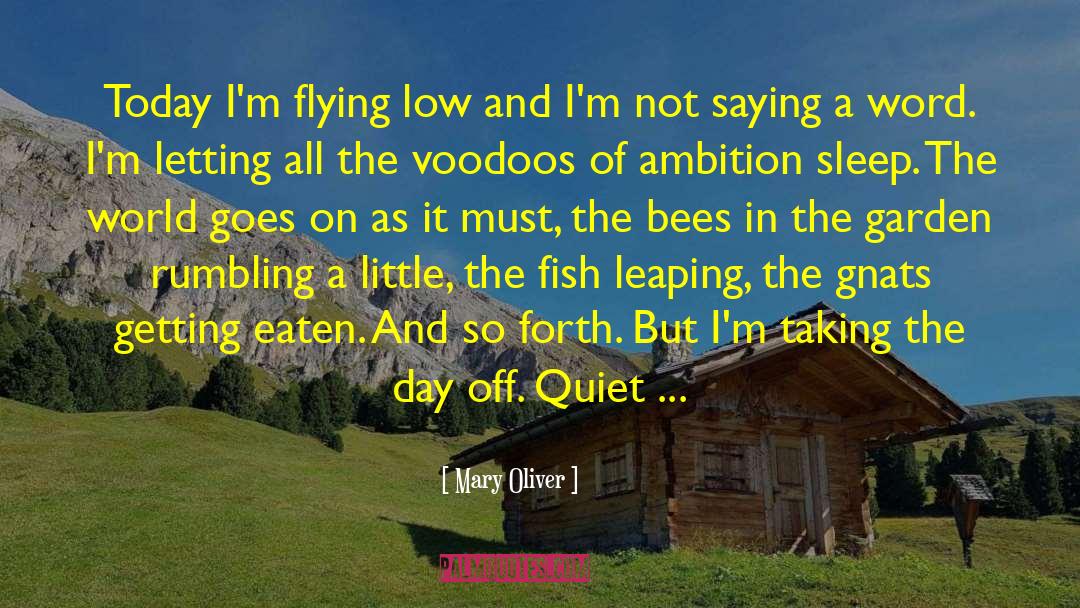 Gnats quotes by Mary Oliver