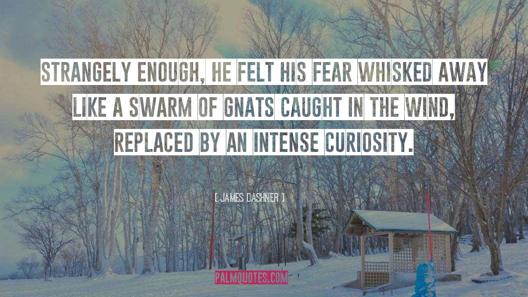 Gnats quotes by James Dashner