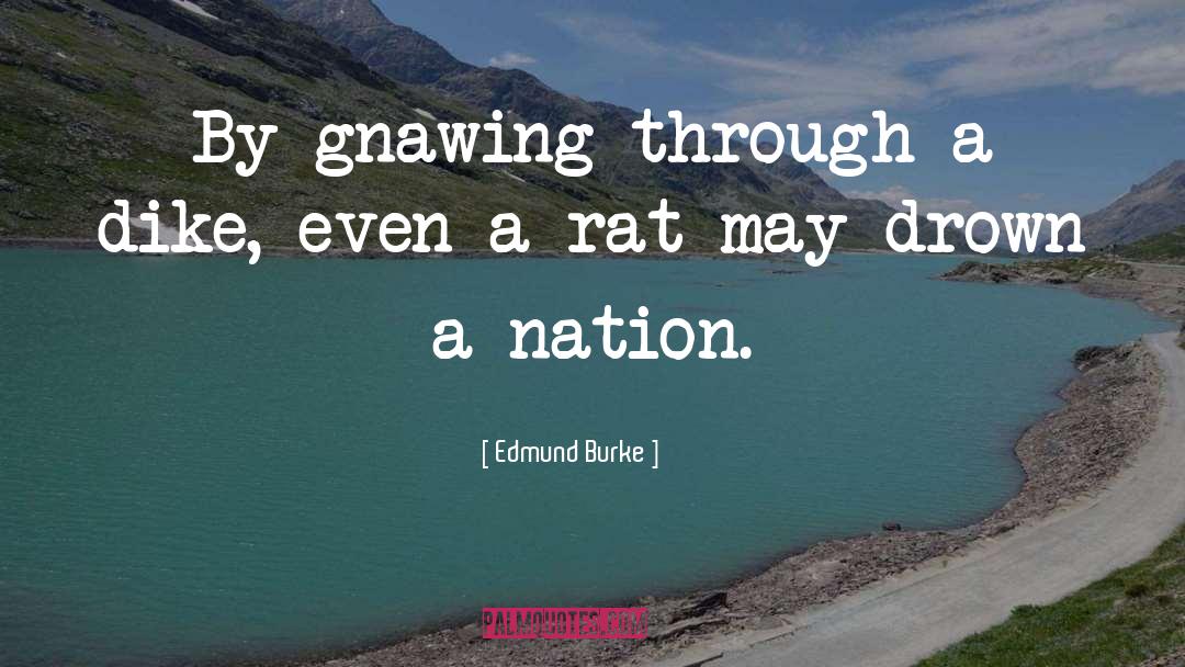 Gnawing quotes by Edmund Burke