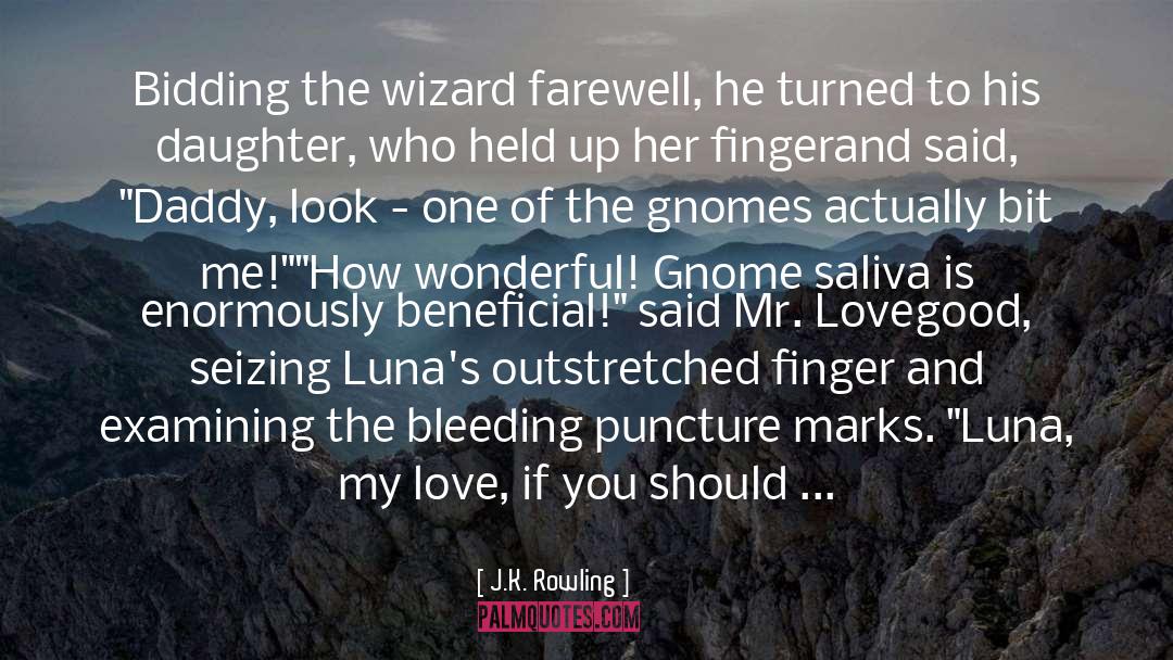 Gnome quotes by J.K. Rowling