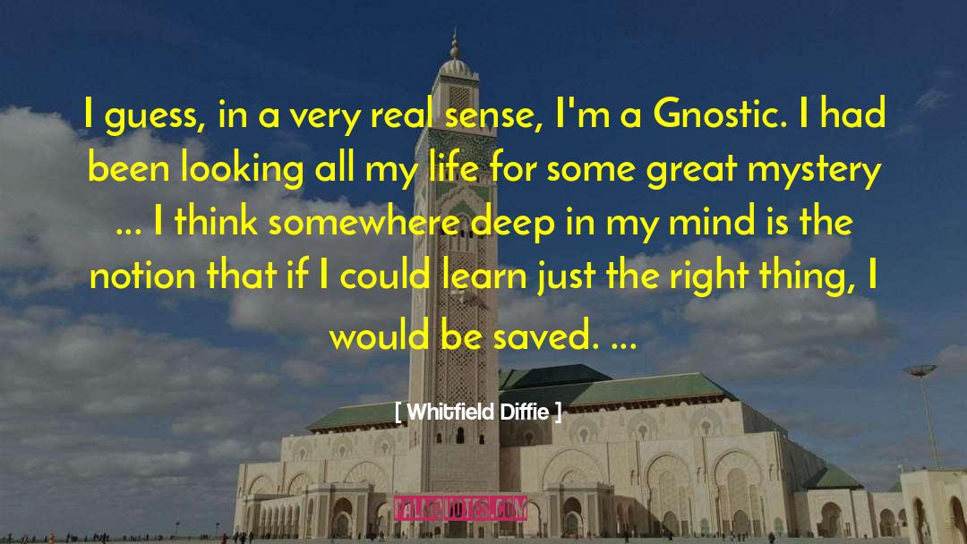 Gnostic quotes by Whitfield Diffie