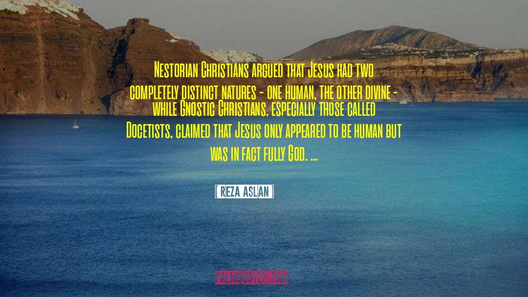 Gnostic quotes by Reza Aslan