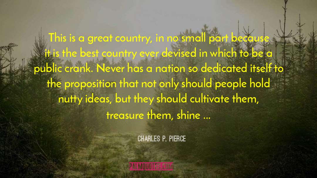 Go And Shine quotes by Charles P. Pierce