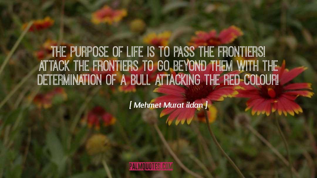 Go Beyond quotes by Mehmet Murat Ildan