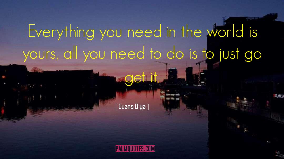 Go Get It quotes by Evans Biya