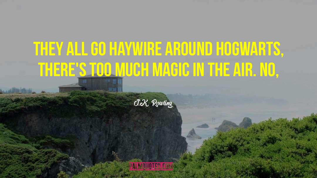 Go Haywire quotes by J.K. Rowling