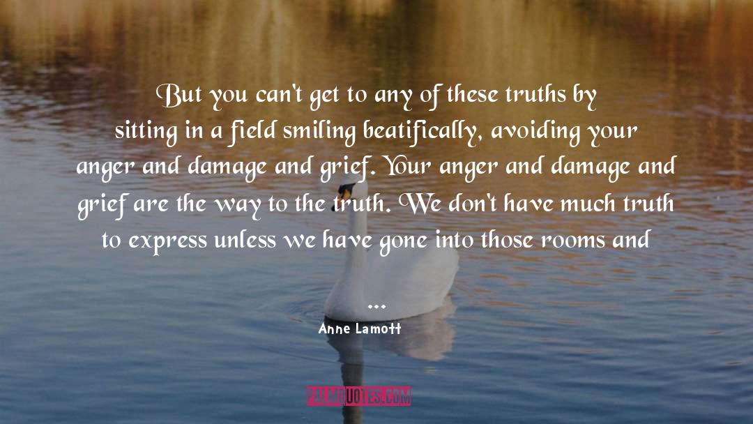 Go In To quotes by Anne Lamott