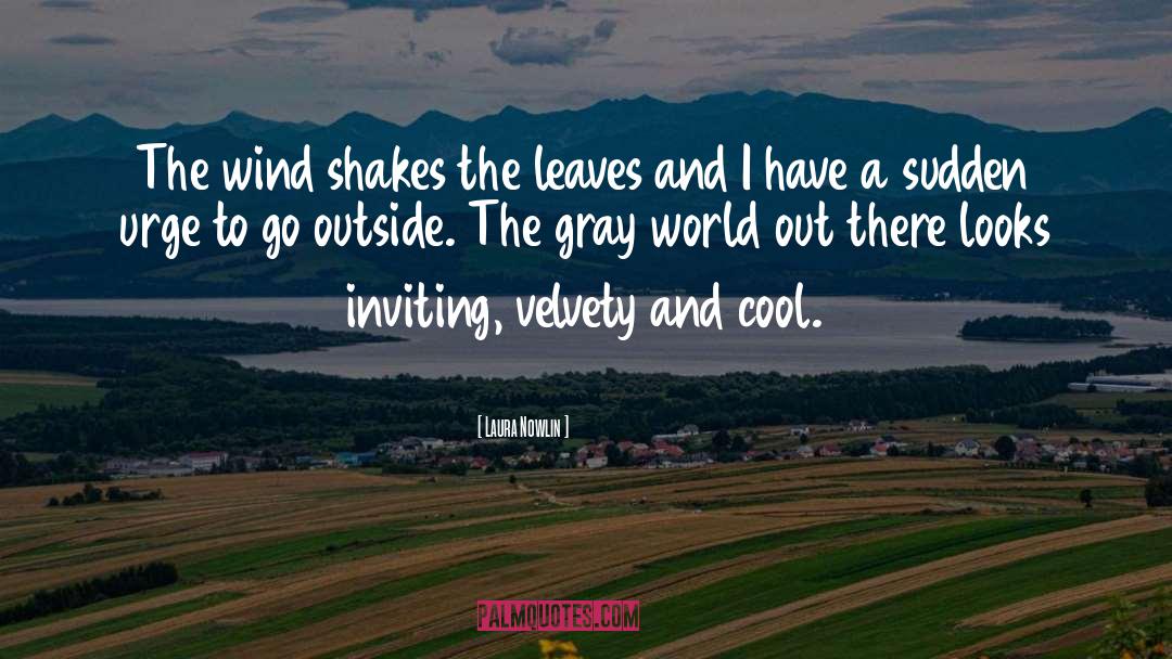 Go Outside quotes by Laura Nowlin