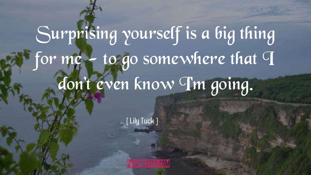 Go Somewhere quotes by Lily Tuck