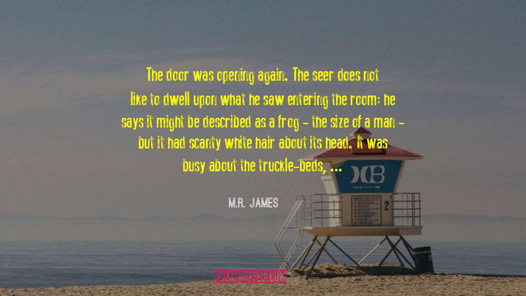 Go The Distance quotes by M.R. James
