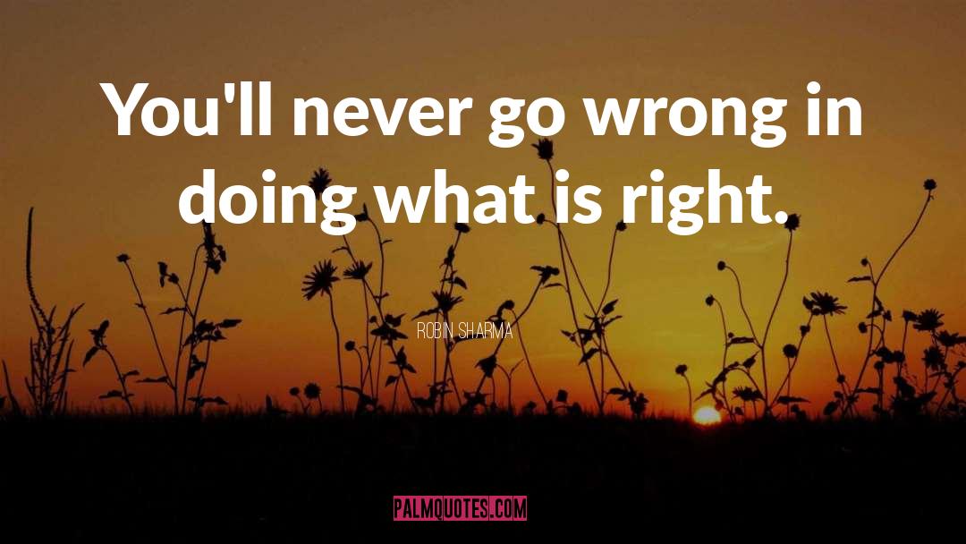 Go Wrong quotes by Robin Sharma